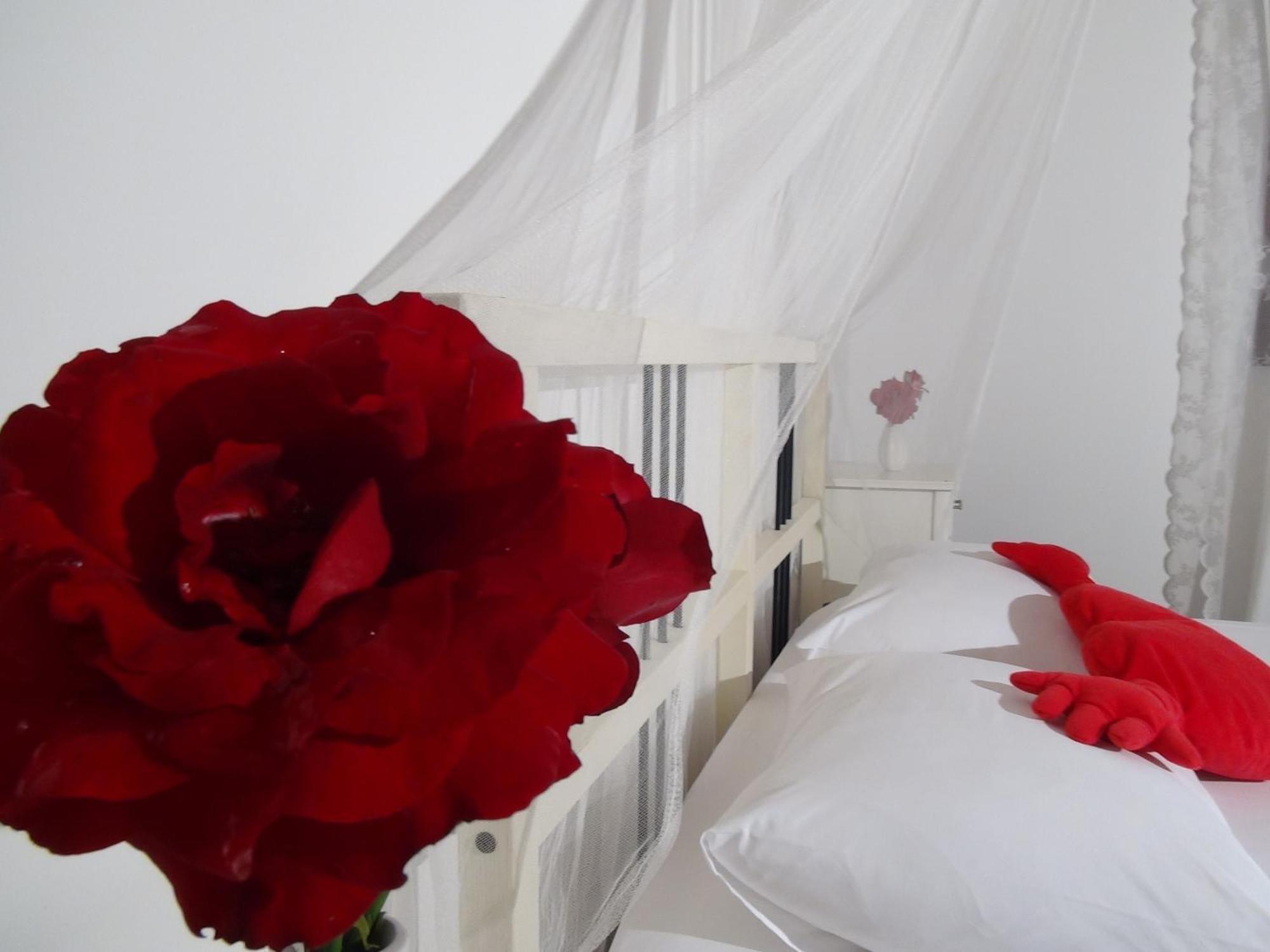 Narcicegi Hotel Çıralı Extérieur photo